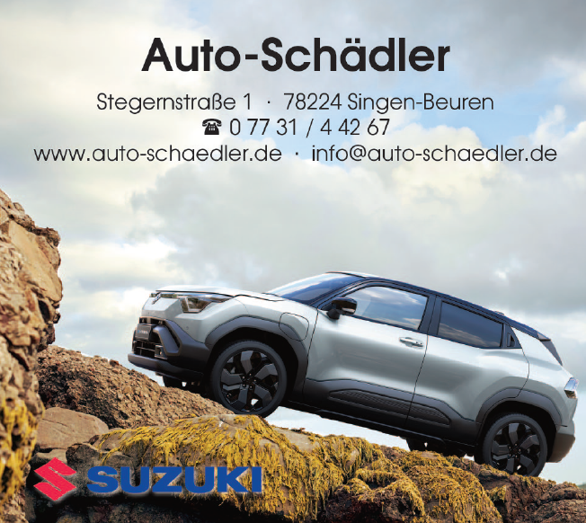 Auto-Schädler